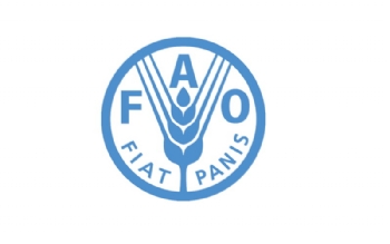 世界粮农组织旗帜