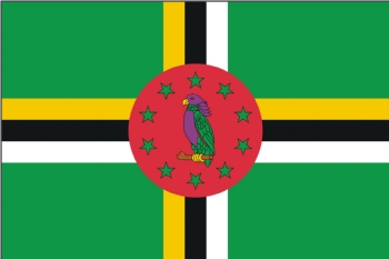 Dominic flag