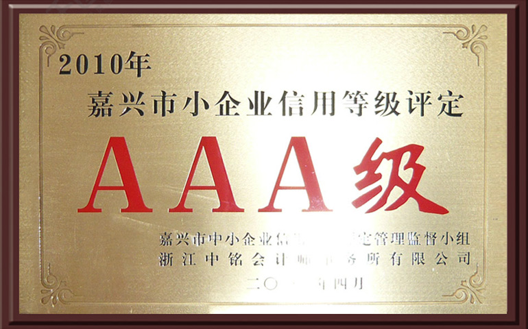 In 2010, the credit rating of small enterprises in Jiaxing was AAA